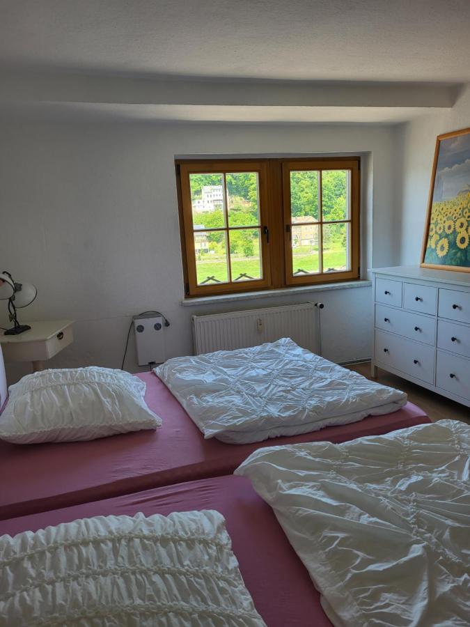Elbblick Apartment Konigstein an der Elbe Exterior photo
